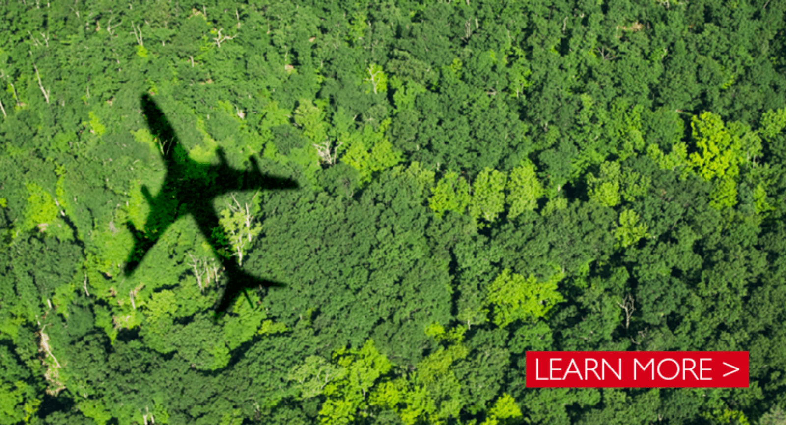 Airplane shadow over a green forest